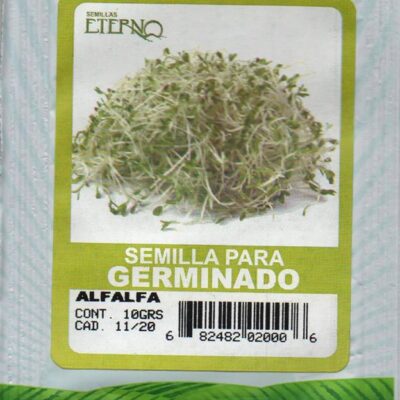 Semilla de Alfalfa